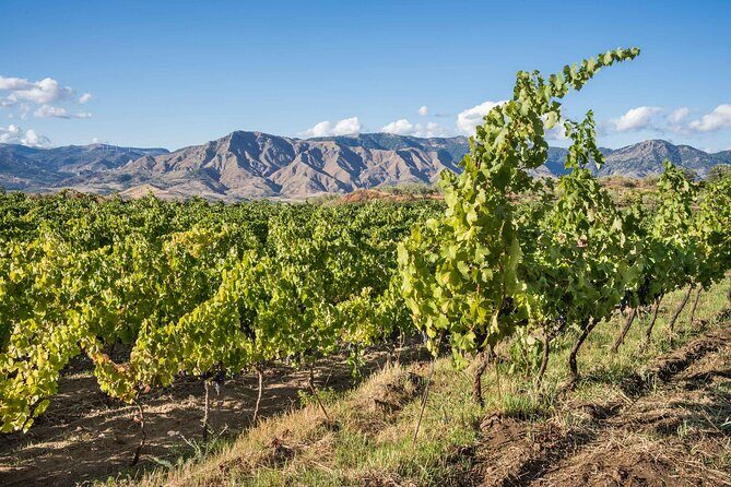 8 Days Private Authentic Sicily Tour - Exploring Sicily in Depth: What You Can Expect