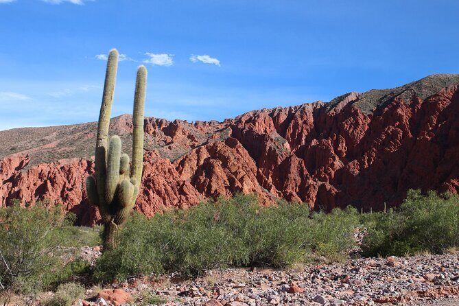 8 Days Private Salta and the North West Luxury Tour in Argentina - Why This Tour Stands Out