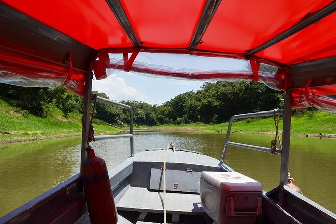 8-Hour Amazonas Jungle Treck & Anavilhanas Archipelago - Final Thoughts