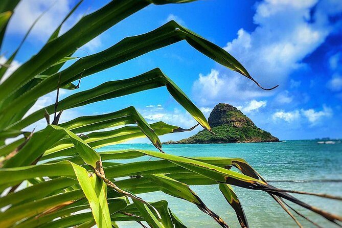 8 Hour Circle Island Jeep Tour - Practical Details and What to Expect