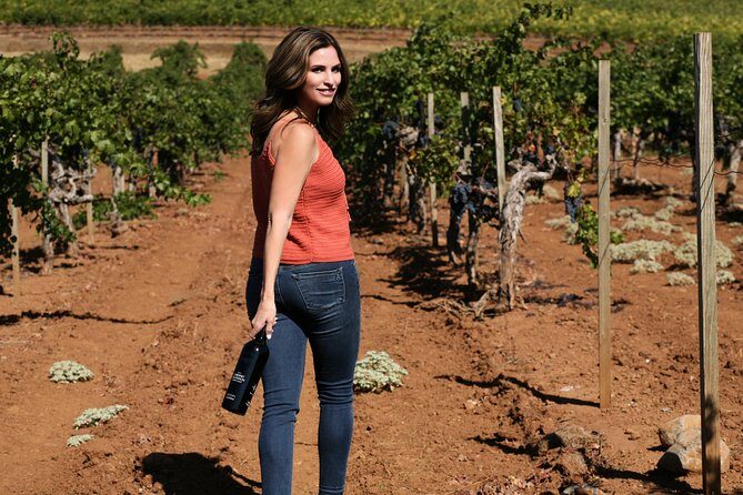 8-Hour Exclusive Wine Tour Experience for up to 6 Guests / Napa-Sonoma - Who Should Consider This Tour?