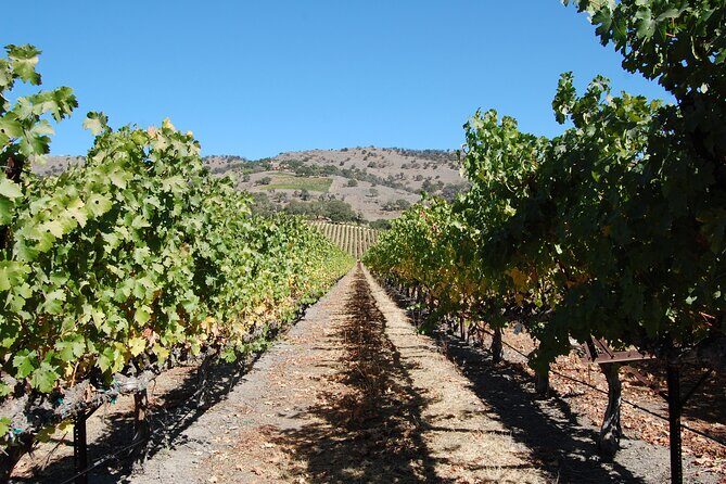 8 Hour Napa or Sonoma Wine Tour in Private Limousine - FAQ