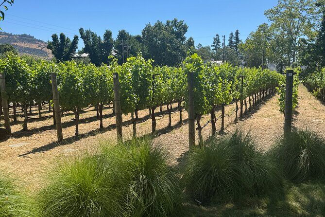 8-Hour Private Limousine Wine Country Tour of Napa or Sonoma - Breaking Down the Itinerary