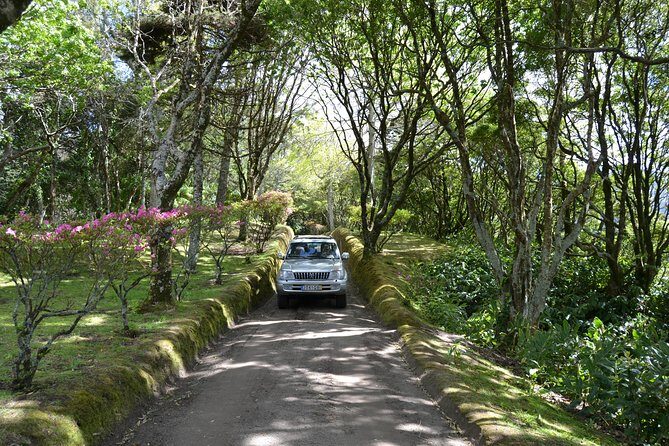 8-Hour Private Tour in 4x4 Vehicle from Ponta Delgada - Exploring the Azores with a Private 4x4 Adventure from Ponta Delgada