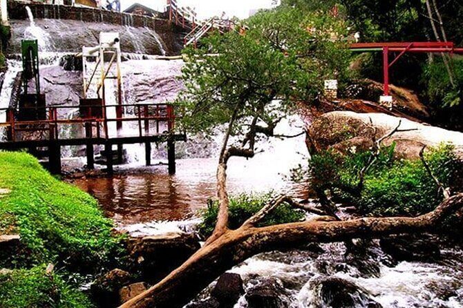 8 Hour Private Tour of Campos Do Jordão - Key Points