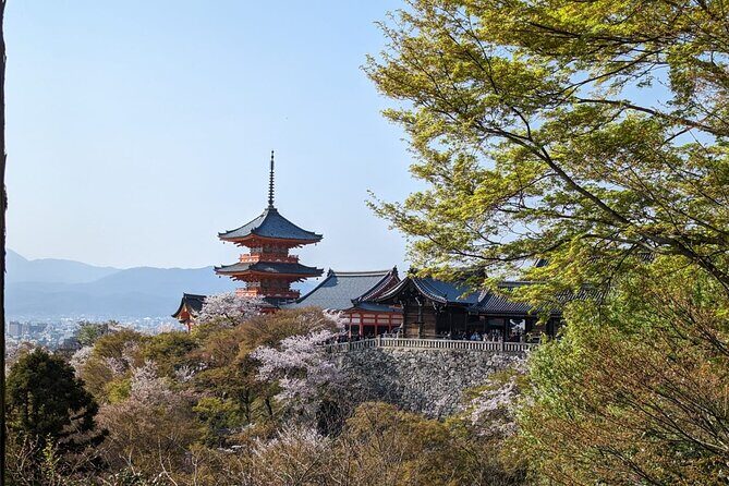 8 Hour Private Tour of Kyoto - An In-Depth Look at the 8-Hour Private Tour of Kyoto