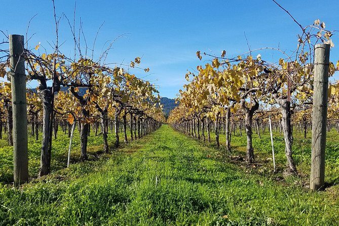 8 Hour Private Wine Country Tour (Sedan, SUV or Limo) - Who Should Consider This Tour?