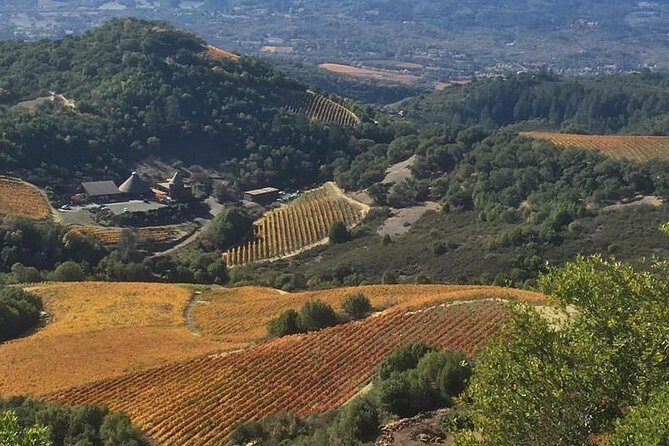 8-Hour Private Wine Tour Experience for up to 6 Guests - San Francisco to Sonoma - FAQ