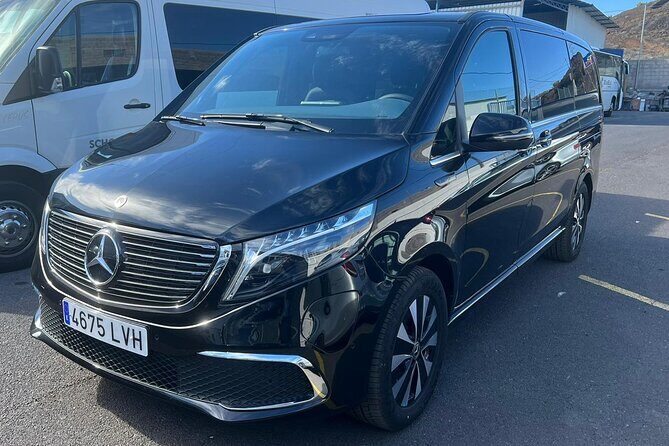 8-Hour Rental in a Luxury Car and Driver/Official Private Guide in Tenerife - Practical Tips for Your Day