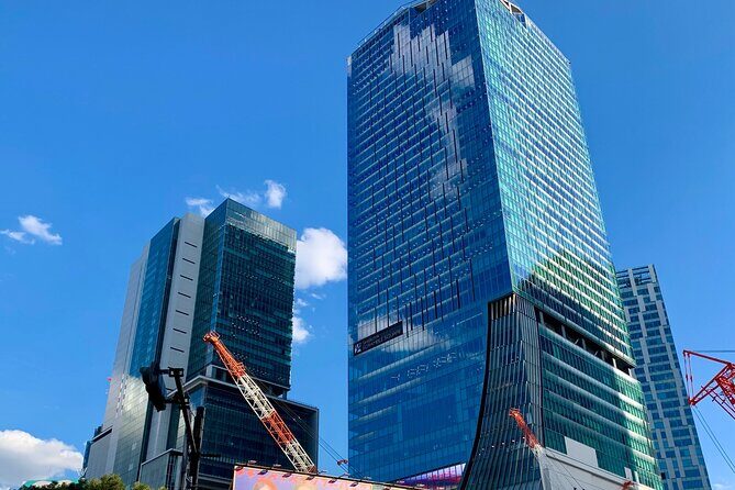 8-hour Tokyo Private Tour, Experience Modern Japan - Experience Modern Japan in Tokyo: An 8-Hour Private Tour