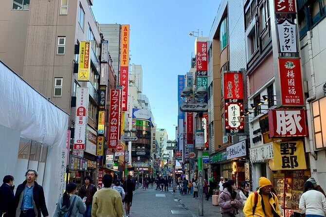 8-hour Tokyo Private Tour, Experience Modern Japan - Who Should Consider This Tour?