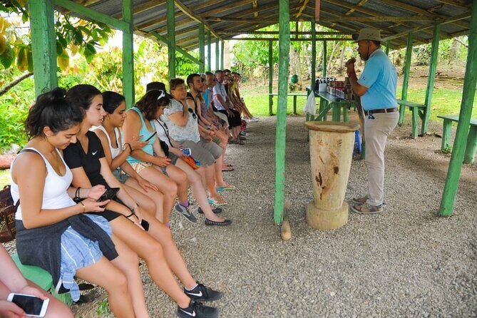 8-Hour Tour Enjoying the Dominican Culture Through the Countryside - Frequently Asked Questions