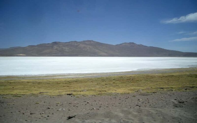 8-Hour Tour in Arequipa Laguna de Salinas with Pickup - Who Should Consider This Tour