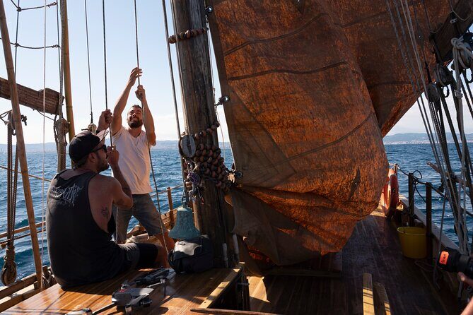 8-Hour Whale Watching in Barcelona - Who Should Consider This Tour?