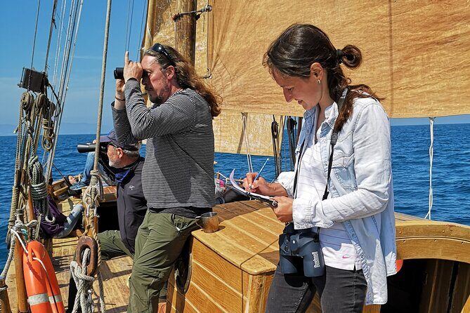 8-Hour Whale Watching in Barcelona - Frequently Asked Questions