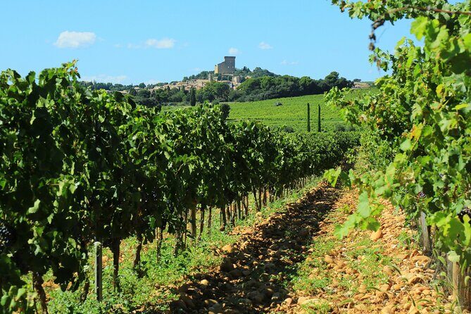 8 Hours Group Tour in Châteauneuf du Pape - Exploring Châteauneuf du Pape: A Full Day of Wine and Wonder