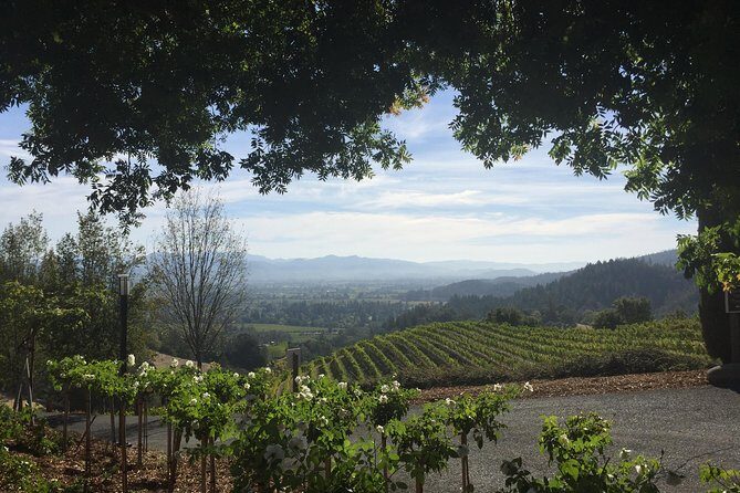 8-Hours Napa Wine Tour from SF to Napa CA , Sedan up to 2 People - Authentic Experiences and What You’ll Love