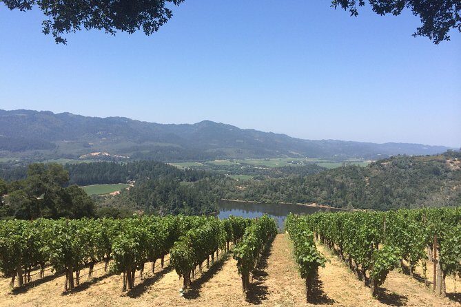 8-Hours Private Limo(up to 8 pass.) Wine Tour of Napa Valley from San Francisco - Why This Tour Gets High Praise