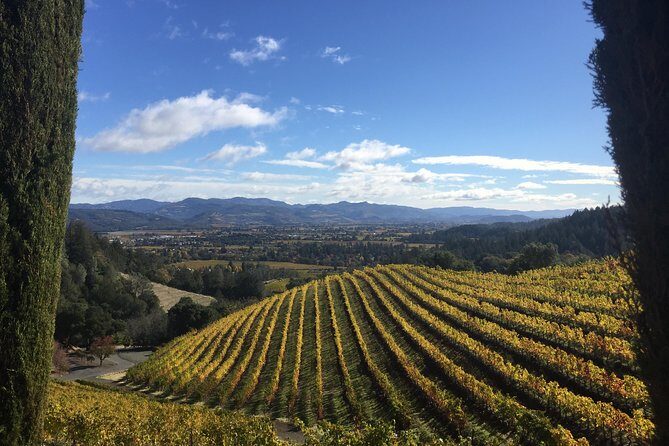 8-Hours Private Limo(up to 8 pass.) Wine Tour of Napa Valley from San Francisco - FAQ