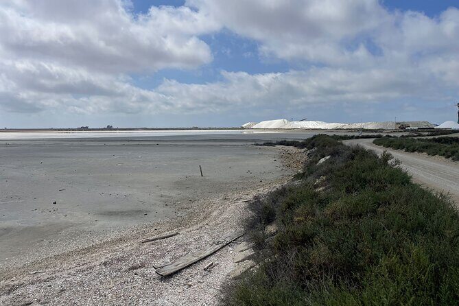 8 Hours Visit to the Camargue and the Salins dAigues-Mortes - A Detailed Breakdown of the Experience