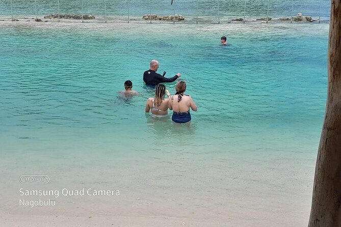 83 Islands Distillery & Sightseeing of Port Vila with Yumi Tours - FAQ: Practical Questions About the Tour