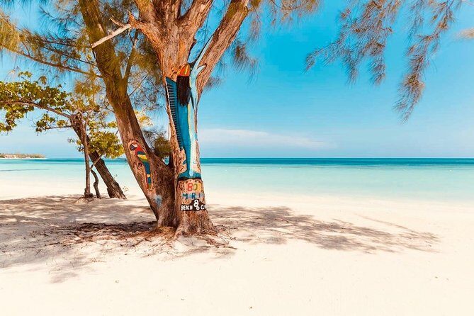 876 Beach Club Day Pass Plus Aqua Park From Falmouth Cruise Port - Experience the Sun and Splash at 876 Beach Club from Falmouth Cruise Port