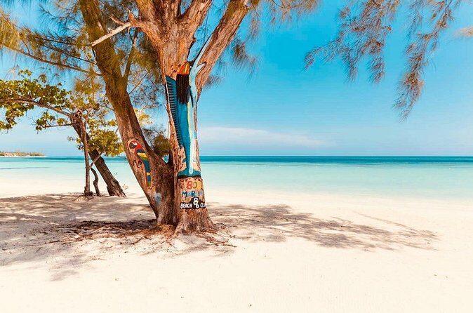 876 Beach Club Day Pass Plus Aqua Park From Falmouth Cruise Port - The Sum Up: Why Choose the 876 Beach Club & Aqua Park?