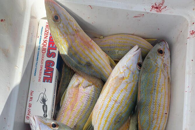 8HR Catch and Grill in Turks and Caicos Islands - Who Should Consider This Tour?