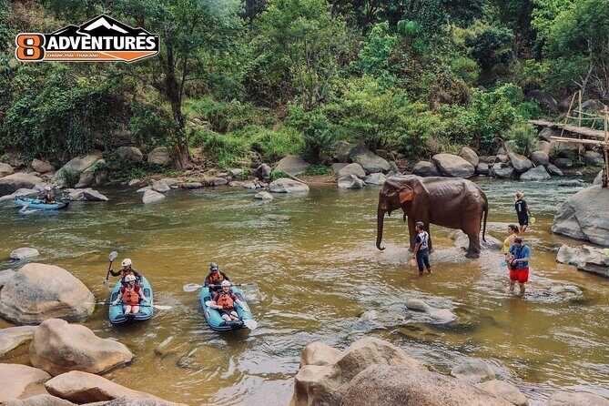 8KM White Water Rafting and 3HRS Jungle Trekking Adventure - What Makes This Tour Stand Out?