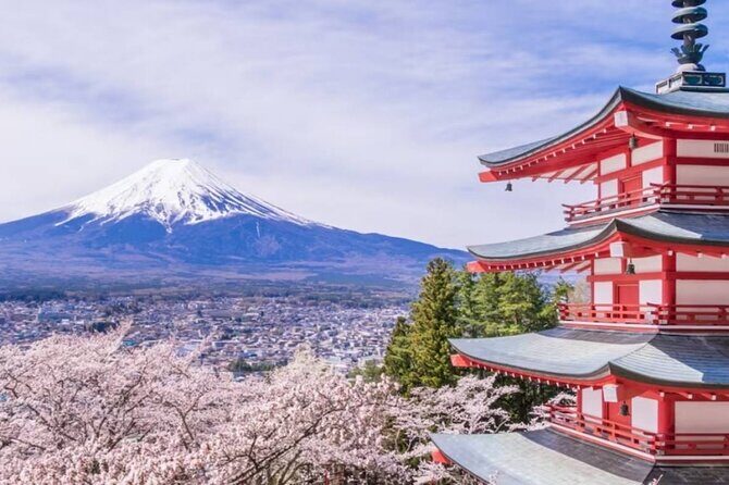 9 Day Best of Japan Cherry Blossom Small Group Tour 2026 - An In-Depth Look at the 9-Day Japan Cherry Blossom Tour