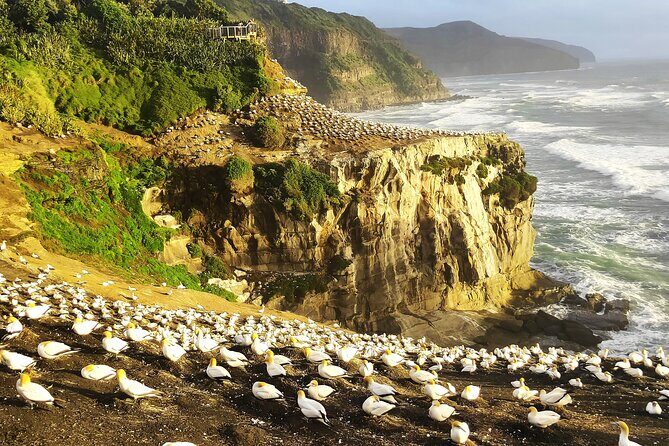 9 Day South to North Island NZ Private Tour from Queenstown - Key Points