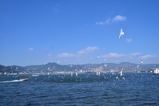 9-Day Tour: Explore Yunnan - Exploring Yunnan: A Deep Dive into the Itinerary