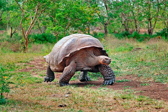 9 Days Galapagos Island Hopping - Final Thoughts