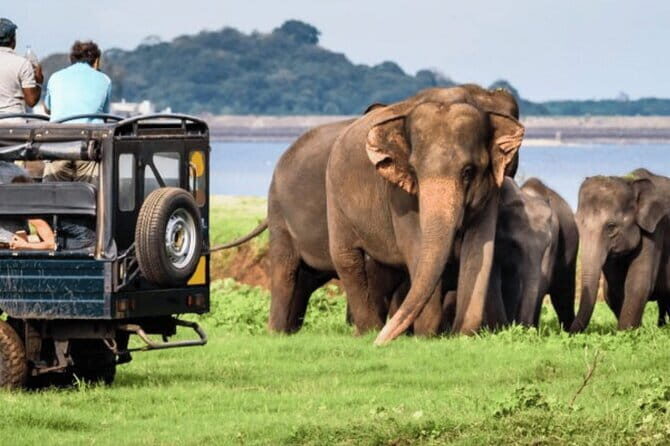 9 Days Guided Tour Through Sri Lanka - Why This Tour Delivers Great Value