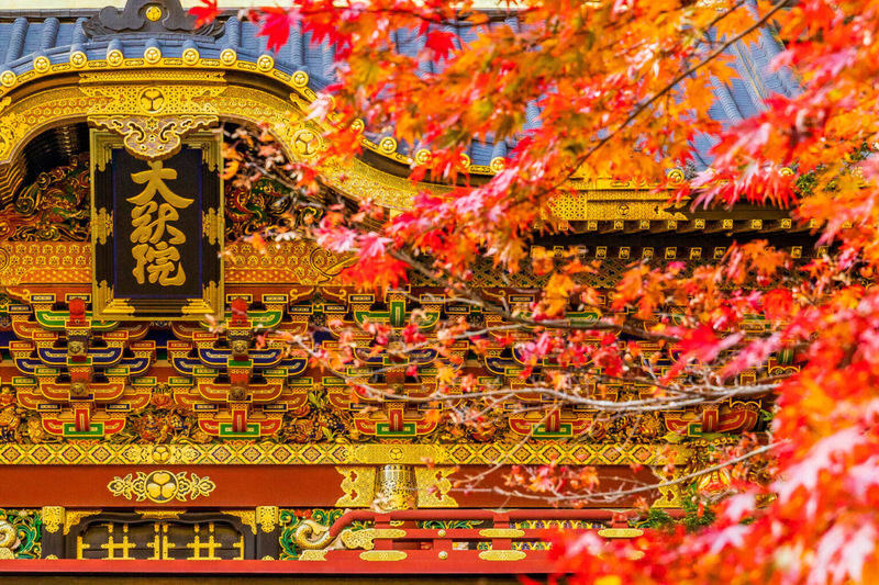 9-person small group Nikko Toshogu Shrine & Irohazaka & Lake Chuzenji One-Day Tour (Hotel pickup and drop-off available) - At a glance: what makes this Nikko trip different