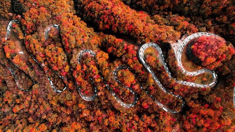 9-person small group Nikko Toshogu Shrine & Irohazaka & Lake Chuzenji One-Day Tour (Hotel pickup and drop-off available) - Starting from Tokyo before the roads fill
