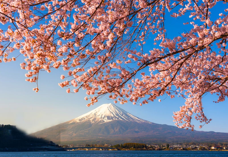 9-person small group tour | Six major photo spots at Mount Fuji | Arakurayama Sengen Park & Hinokawacho Clock Shop & Internet-famous Lawson & Oshino Hakkai & Lake Kawaguchiko & Lake Yamanakako | Departing from Tokyo - Mount Fuji from six different angles