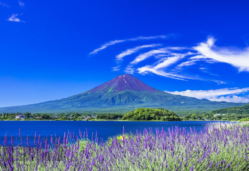 9-person small group tour | Six major photo spots at Mount Fuji | Arakurayama Sengen Park & Hinokawacho Clock Shop & Internet-famous Lawson & Oshino Hakkai & Lake Kawaguchiko & Lake Yamanakako | Departing from Tokyo - Hikawa Clock Shop: Fuji at the end of an old street