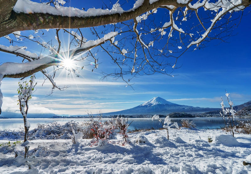 9-person small group tour | Six major photo spots at Mount Fuji | Arakurayama Sengen Park & Hinokawacho Clock Shop & Internet-famous Lawson & Oshino Hakkai & Lake Kawaguchiko & Lake Yamanakako | Departing from Tokyo - Arakura Fuji Sengen Shrine: a quieter pause