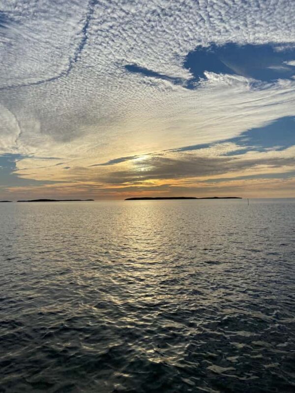 90 Minute Backwater Eco & History Tour - Key Points