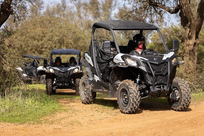90-minute Buggy or Quad tour in the Algarve - Key Points
