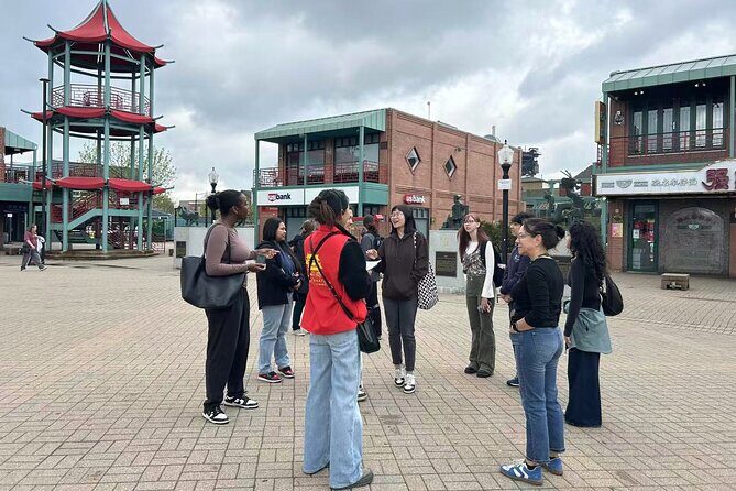 90 minute Chicago's Chinatown History and Culture Tour - Nine Dragons Wall: Majestic Symbolism