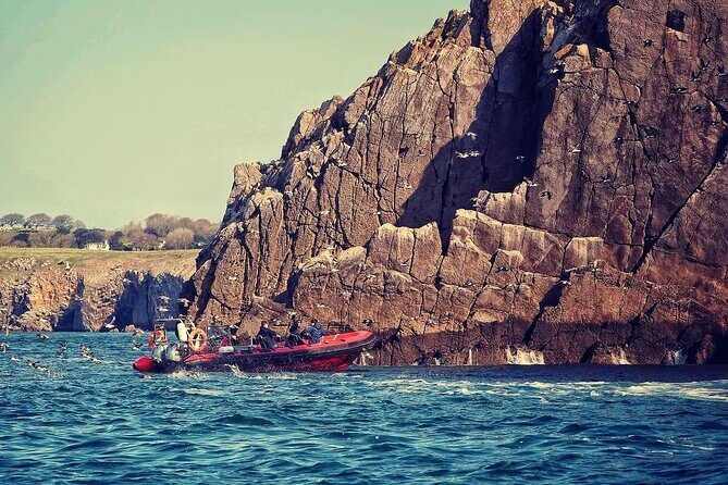 90 Minute Coastal Explorer in Torquay - Key Points