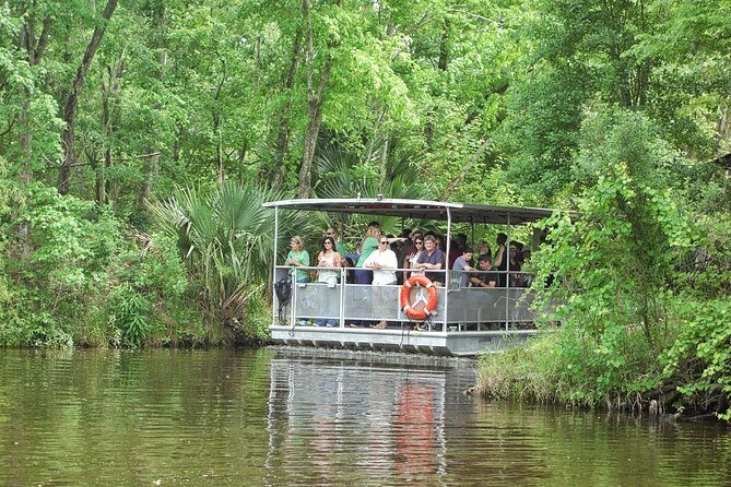 90-Minute Jean Lafitte Swamp and Bayou Tour with Transportation - Key Points