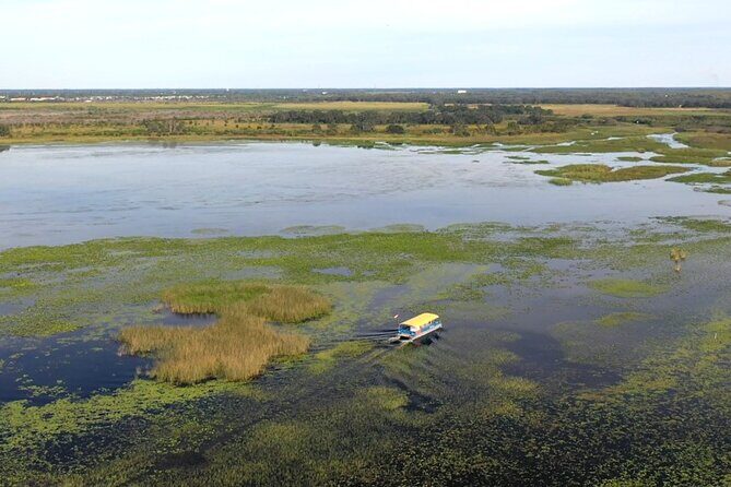 90 Minute Pontoon Cruise in Florida - A Detailed Look at the 90 Minute Pontoon Cruise in Florida