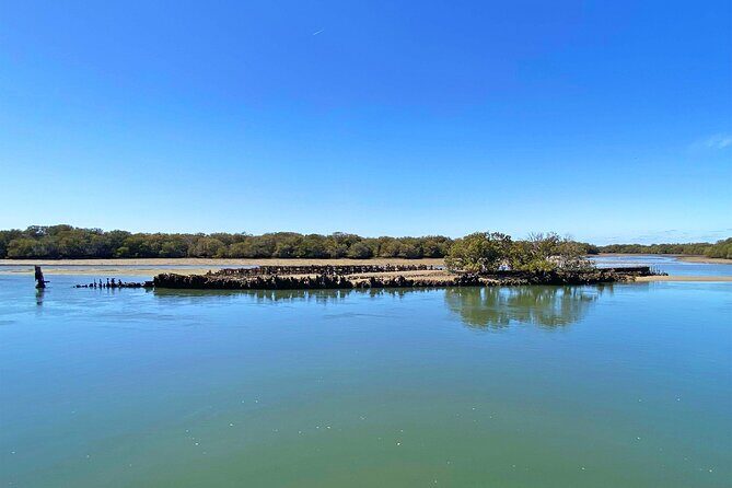 90 Minute Port River Dolphin & Ships Graveyard Cruise - Who Is This Tour Best Suited For?