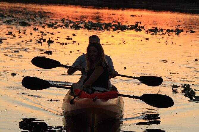 90-Minute Sunset paddle at Secret Lake Guided Kayak Tour in Casselberry - Key Points