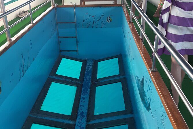 90-Minutes Glass Bottom Trip With Quick Dip - Exploring the Itinerary: What’s Included and What You Should Expect
