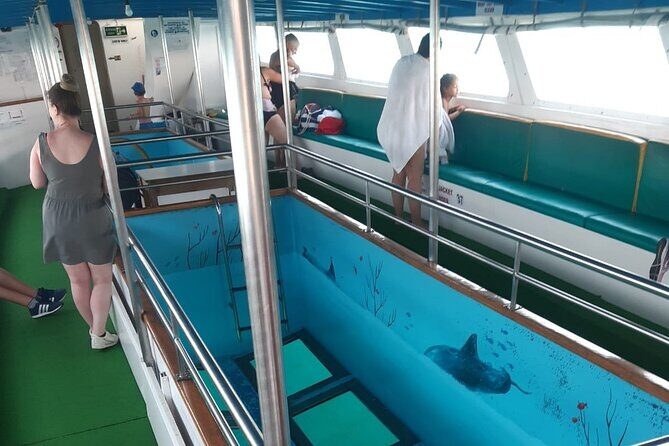 90-Minutes Glass Bottom Trip With Quick Dip - The Experience: What Travelers Are Saying