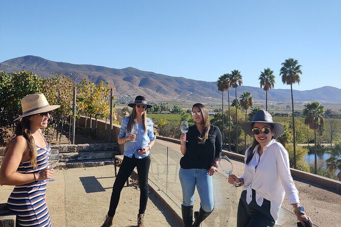 $99 Valle de Guadalupe Wine Tours - DayTrip to baja from San Diego - Key Points